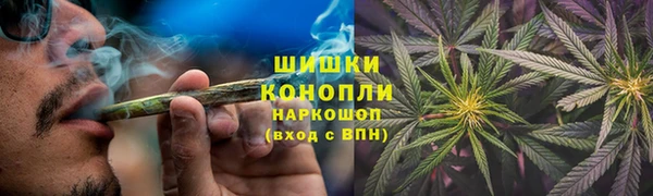 PSILOCYBIN Беломорск