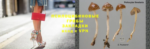 PSILOCYBIN Беломорск