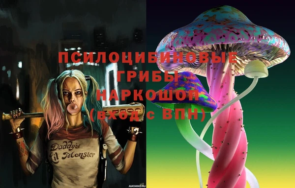 PSILOCYBIN Беломорск